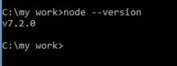NodeJS Version Check Command