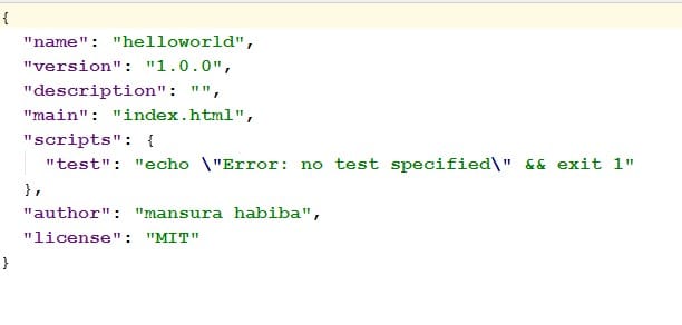 Angularjs 2 Package.json