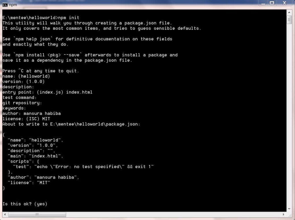 Run NPM Init Command